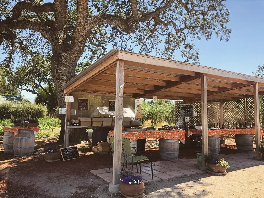 The shaded farm stand at Rancho Olivos, photographed in 2022