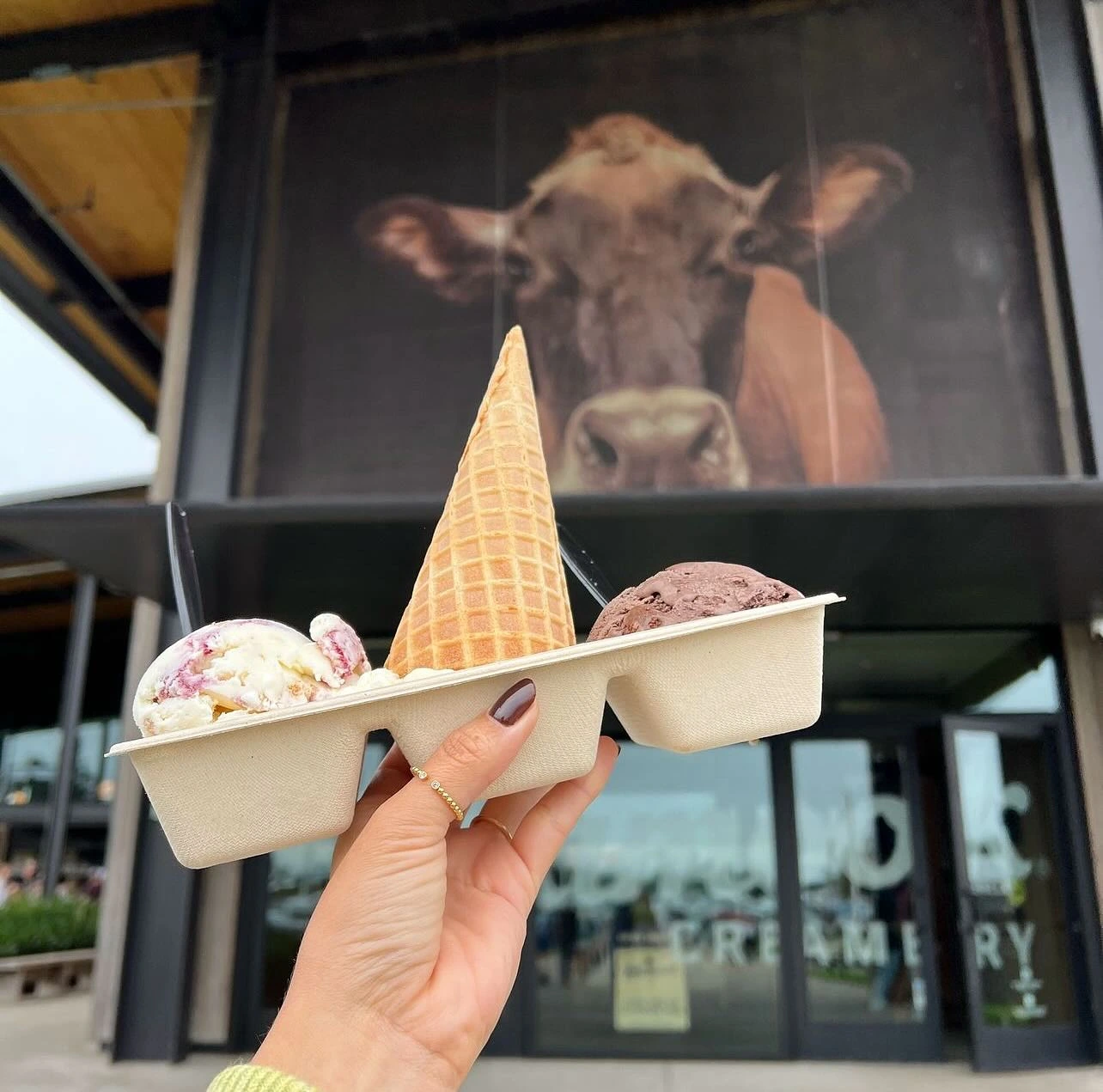 Ice cream tasting cups and a waffle cone outside Tillamook Creamery in Oregon