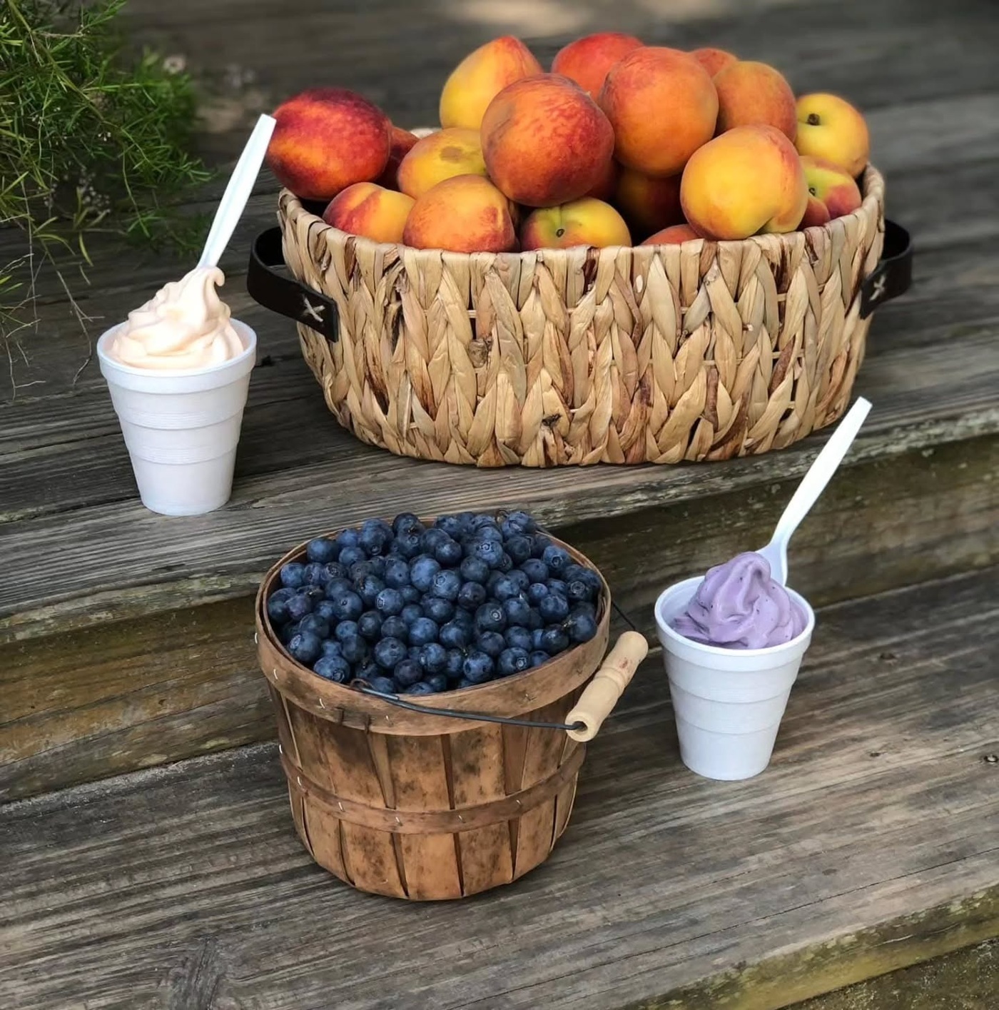 Peaches, blueberries and fruit ice cream at Berry Good Farms