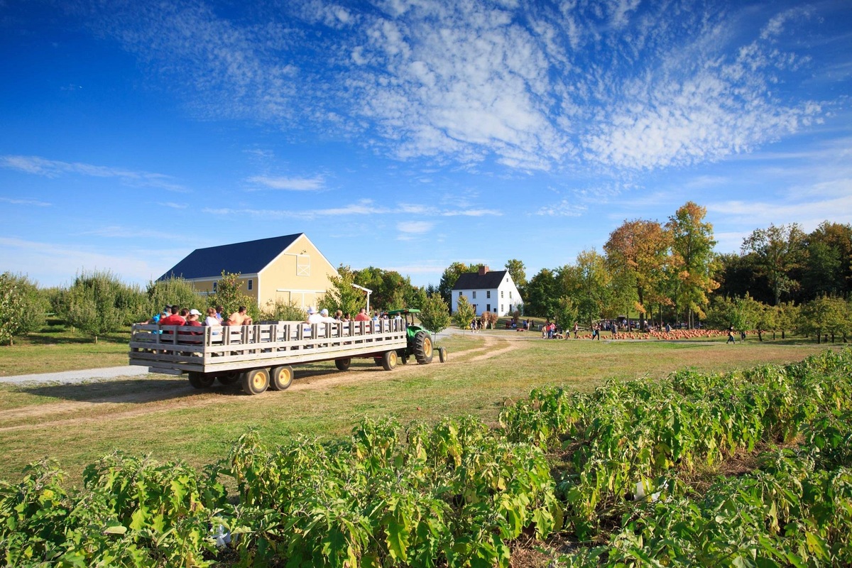 A wagon ride through DuBois Farms