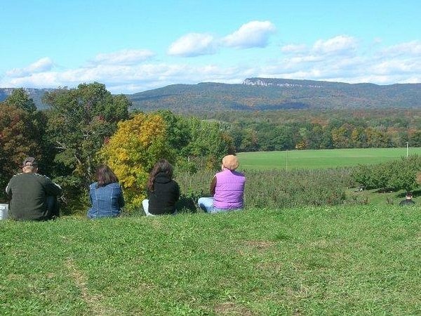 Views across the orchard at Dressel Farms