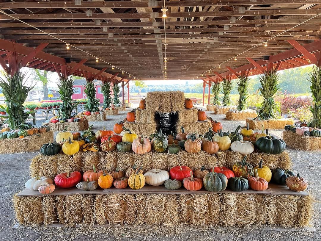 Autumn pumpkins and gourds at Wallkill View Farm Market
