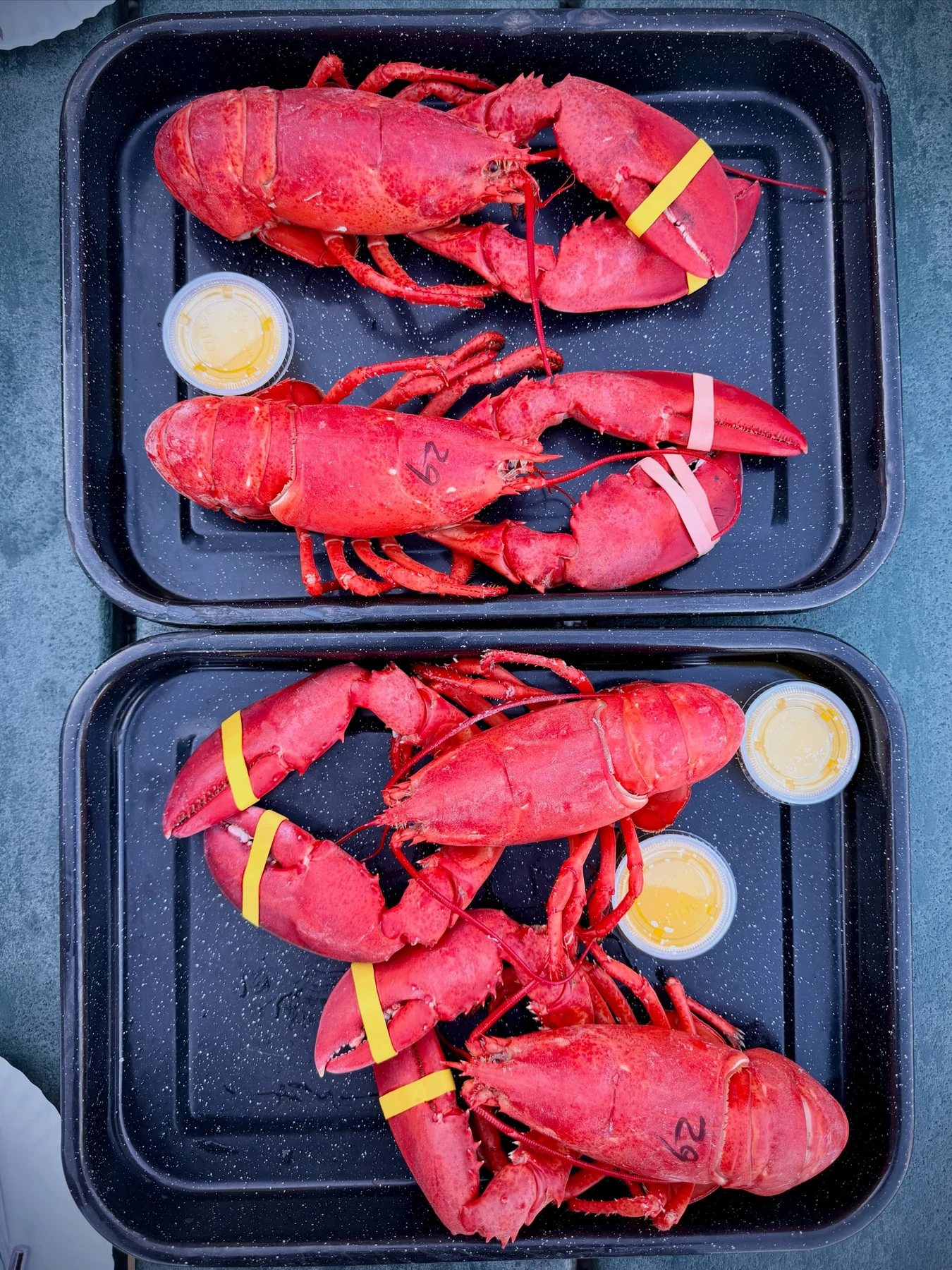 Whole cooked lobsters with melted butter at Trenton Bridge Lobster Pound