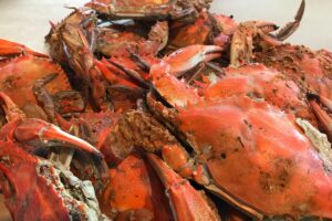 Seasoned steamed blue crabs at LP Steamers in Baltimore