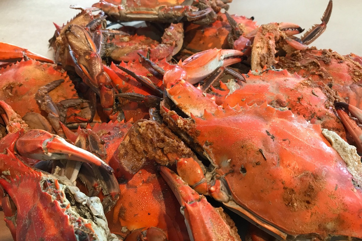 Seasoned steamed blue crabs at LP Steamers in Baltimore
