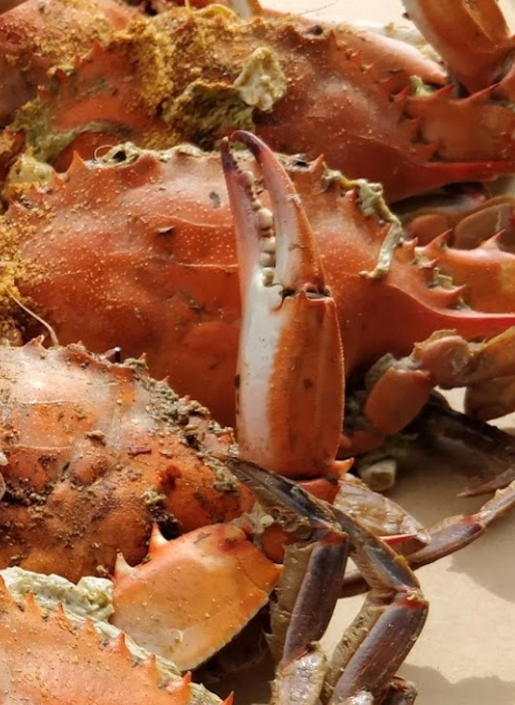 Close-up of a steamed blue crab and claw at Cantler’s