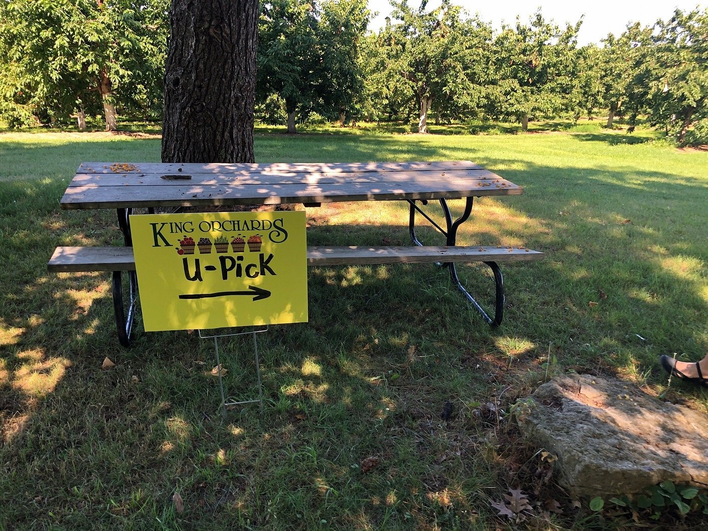 U-pick sign beside a picnic table at King Orchards