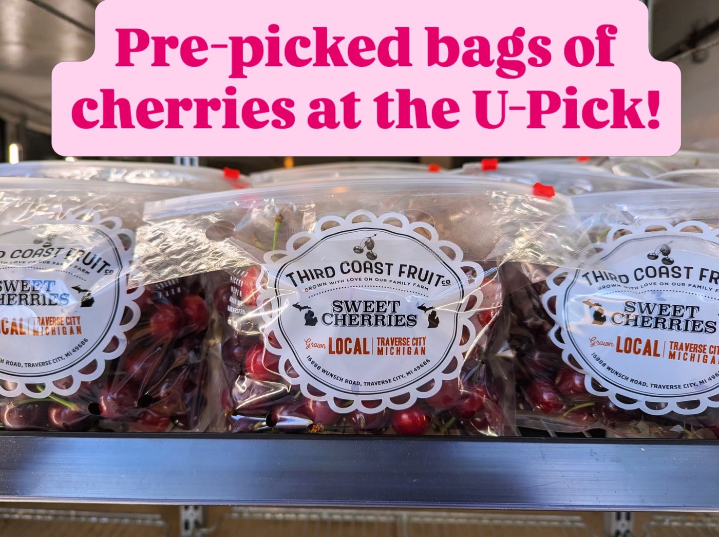 Pre-picked sweet cherries in the cooler at Third Coast Fruit Co.