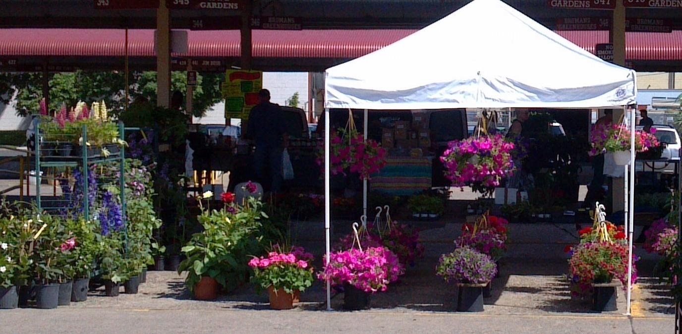 Plants and flowers at Minneapolis Farmers Market