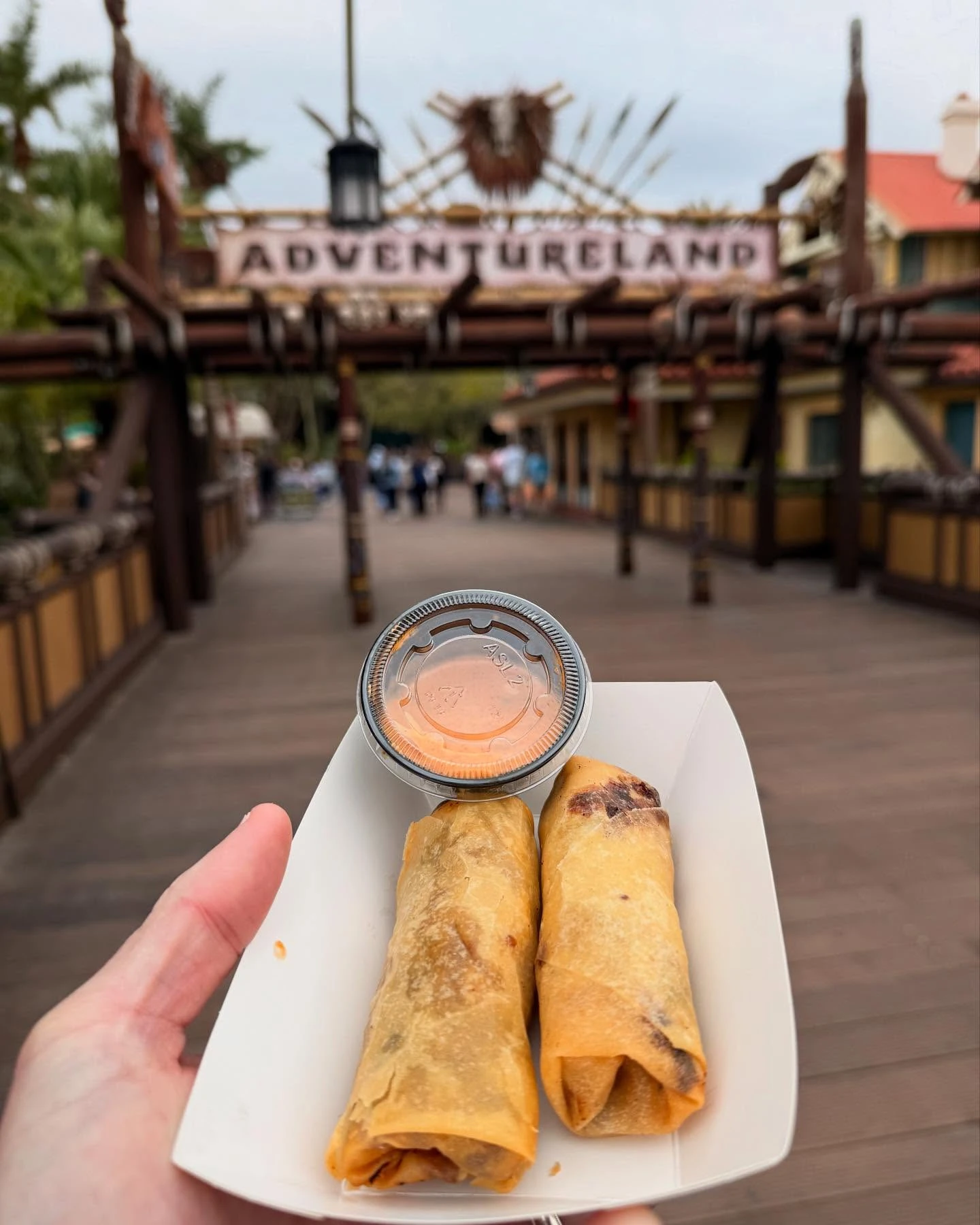 Cheeseburger spring rolls with dipping sauce at the Adventureland entrance