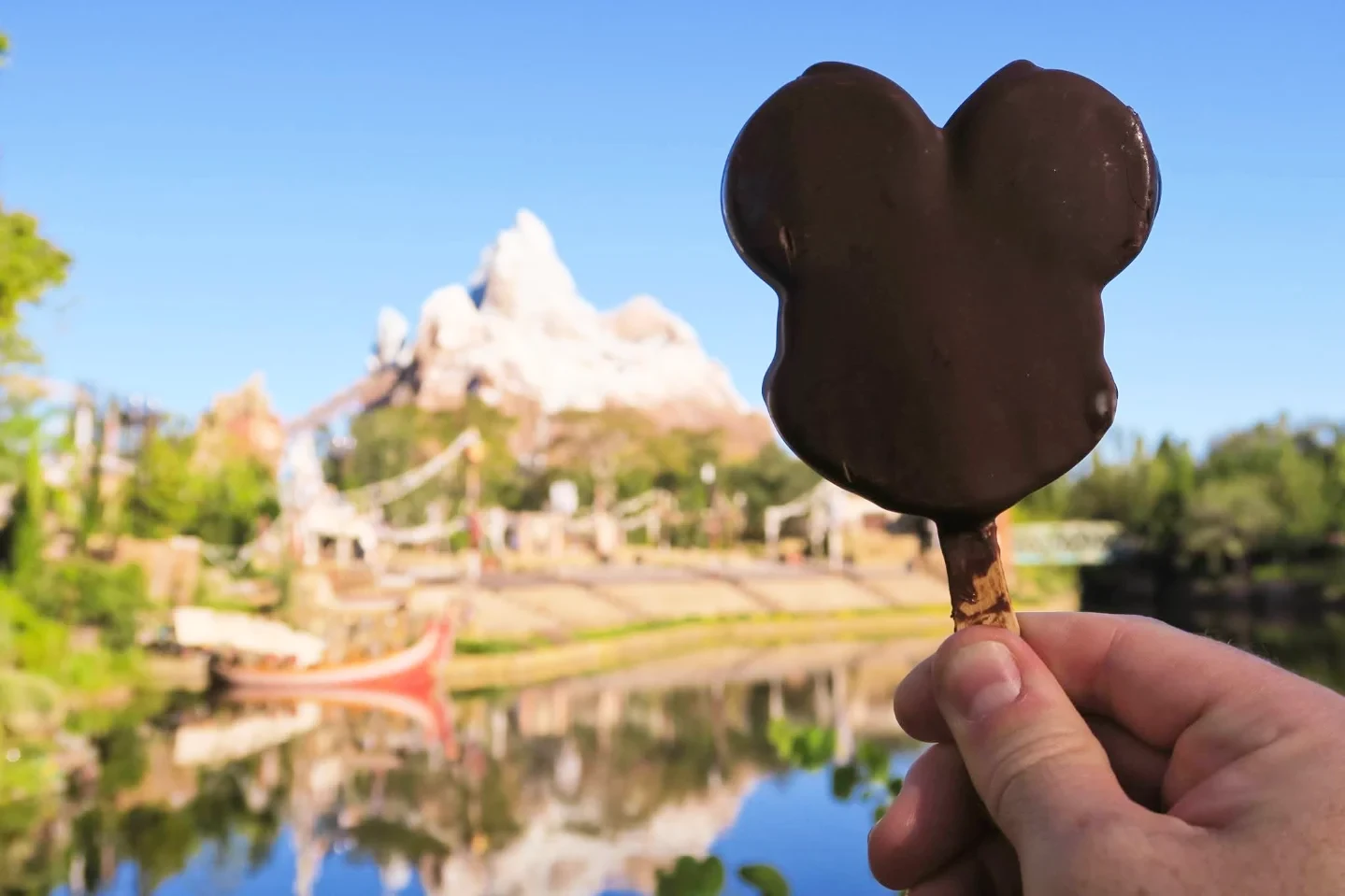 Mickey’s chocolate-coated Premium Ice Cream Bar at Disney’s Animal Kingdom