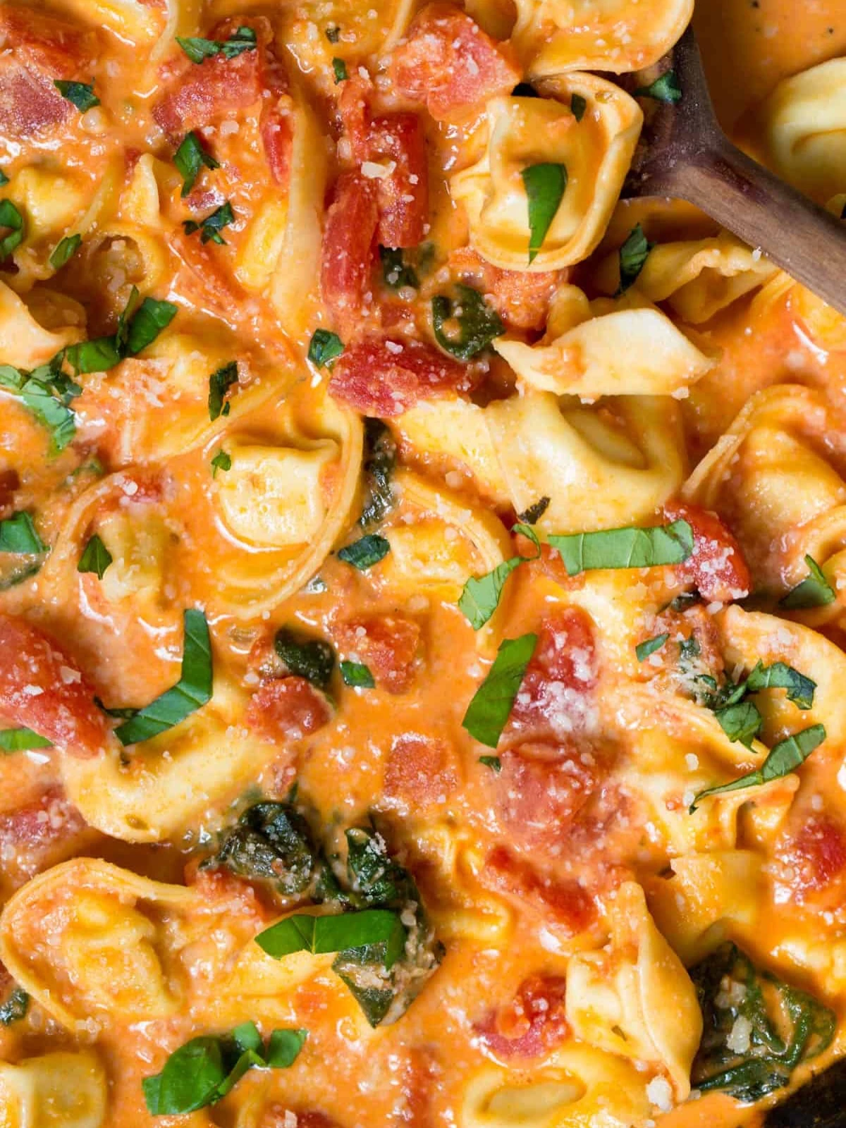 Cheese tortellini in creamy tomato sauce with spinach and basil