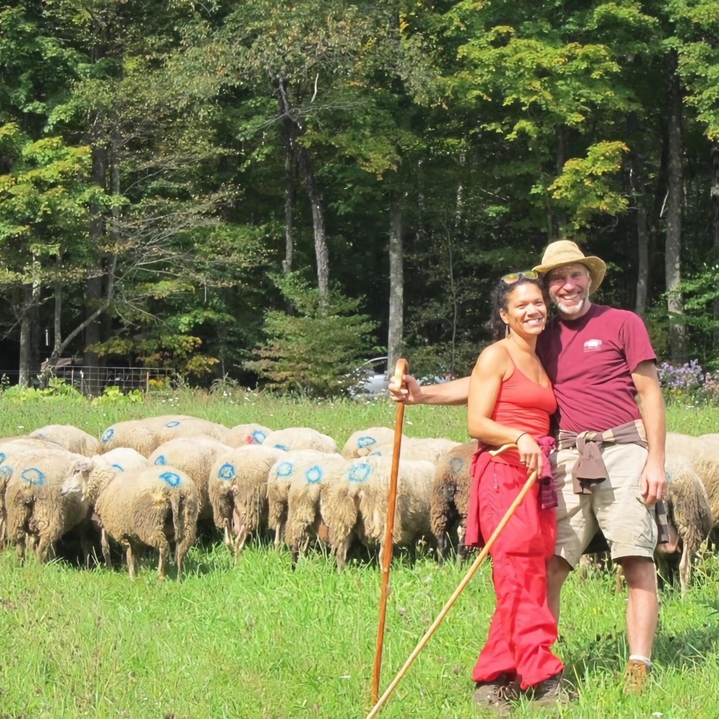 Vermont Shepherd’s farm and flock