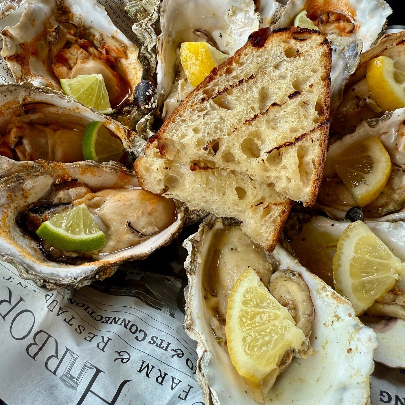 Grilled oysters with bread at Drayton Harbor Oyster Company
