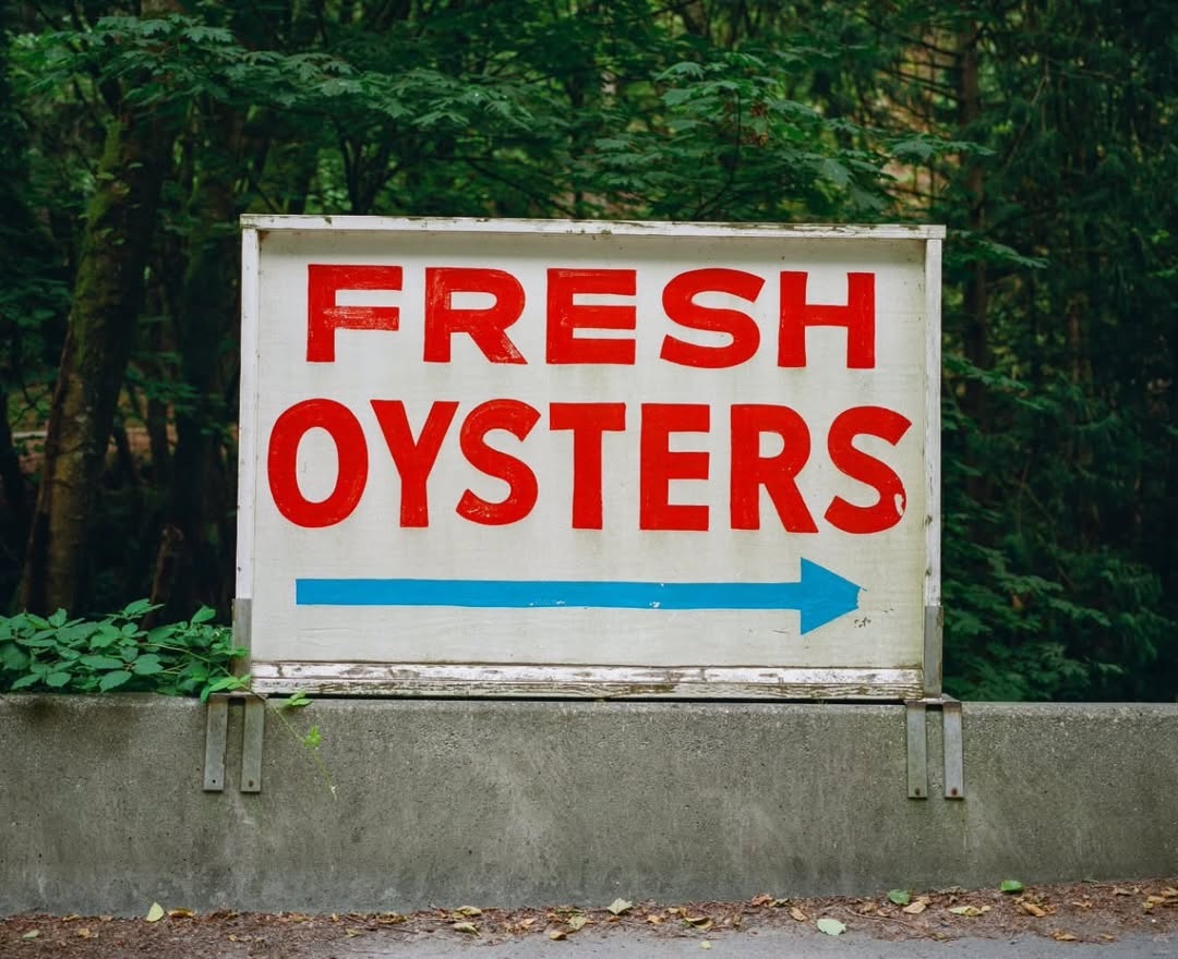Fresh oysters sign at Taylor Shellfish’s Samish location