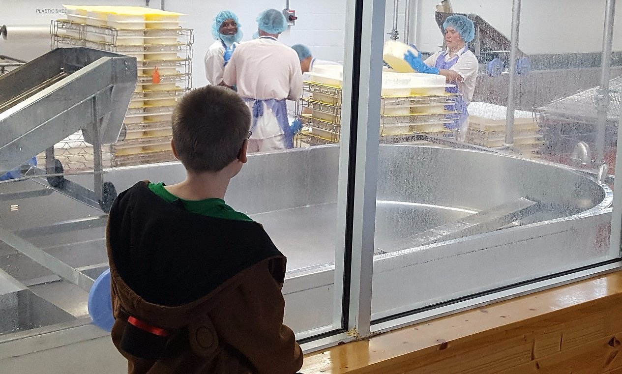 Cheese being formed at the Monroe factory beside Alp & Dell