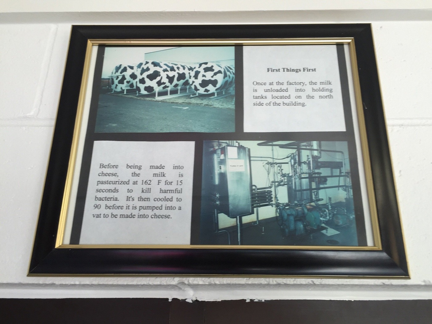 An educational cheesemaking display at Cedar Grove Cheese