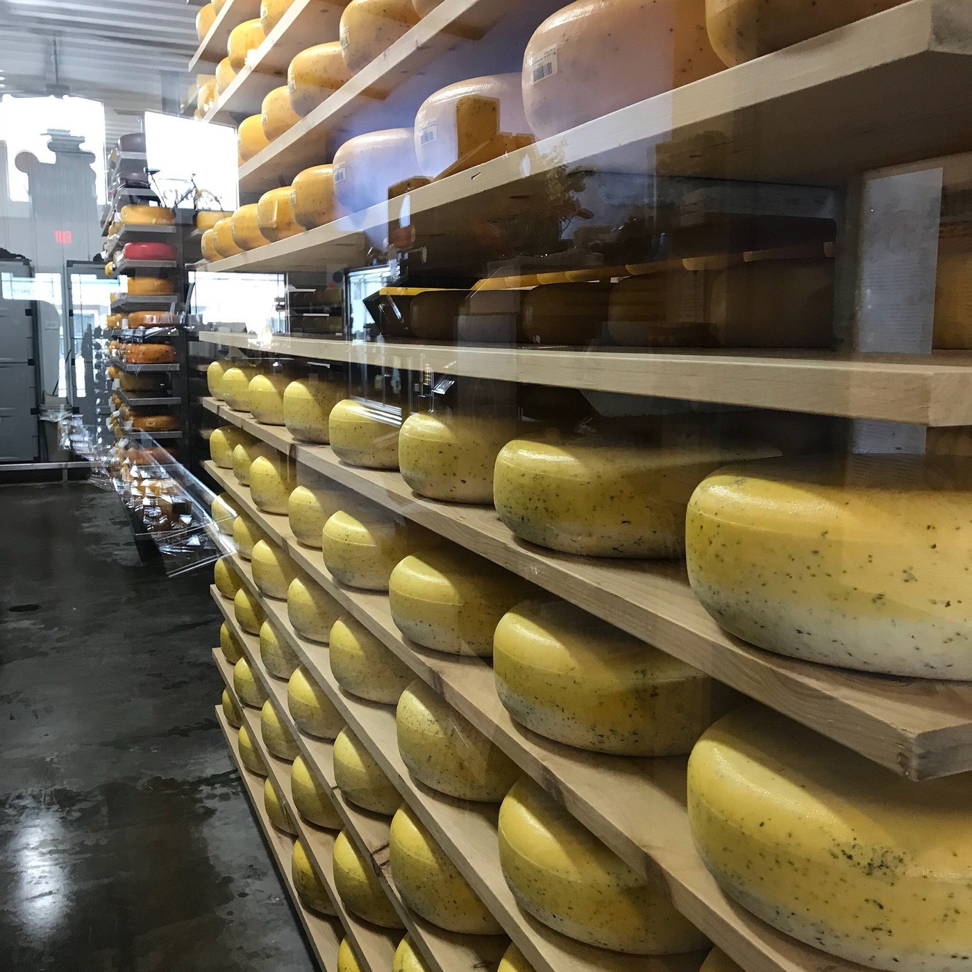Rows of Gouda wheels aging at Marieke Gouda